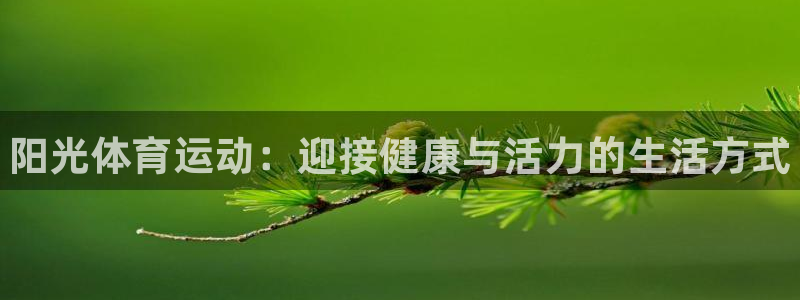 千亿国际官方正版app官网：阳光体育运动：迎接健康与