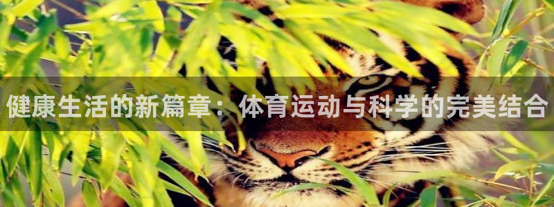 千亿国际官方正版app娱乐平台：健康生活的新篇章：体