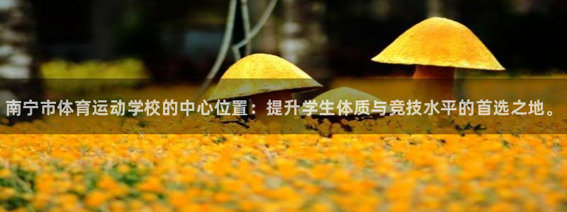千亿国际官网下载招商电话是多少号码：南宁市体育运动学校的中心