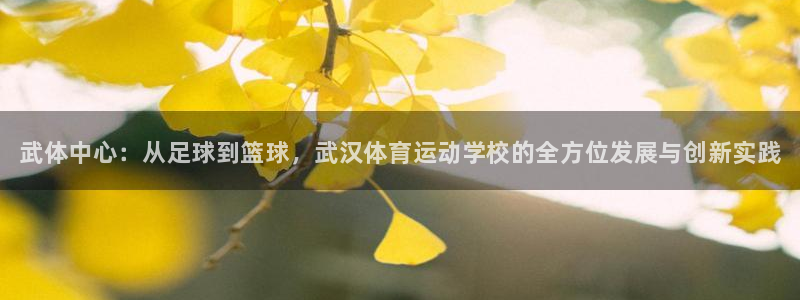 千亿国际官网下载招商电话号码是多少：武体中心：从足球