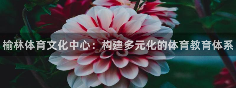 千亿国际官方正版app娱乐首页网站大全：榆林体育文化中心：构