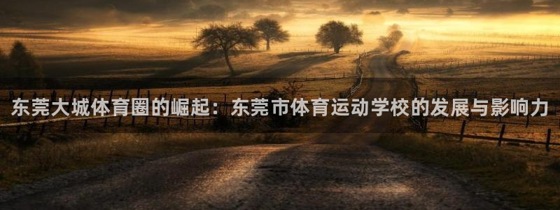 千亿国际官方正版app娱乐首页网站大全：东莞大城体育