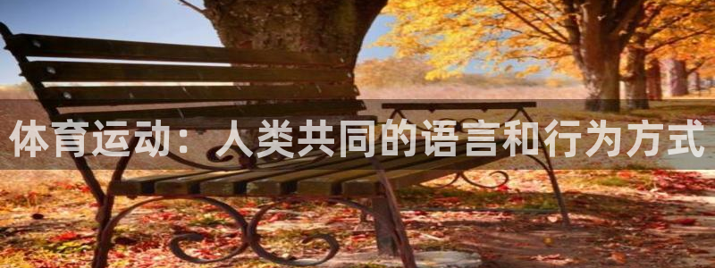 千亿国际官方正版app娱乐是那个系列的台子：体育运动：人类共