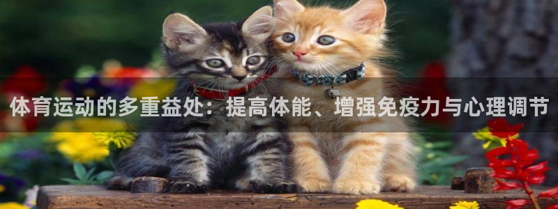 德国千亿国际官方正版app集团：体育运动的多重益处：提高体能