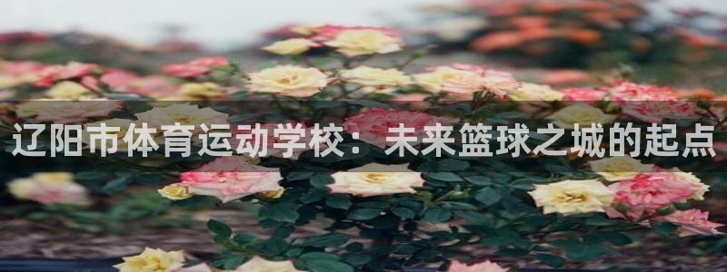 千亿国际官网下载招商电话地址：辽阳市体育运动学校：未来篮球之