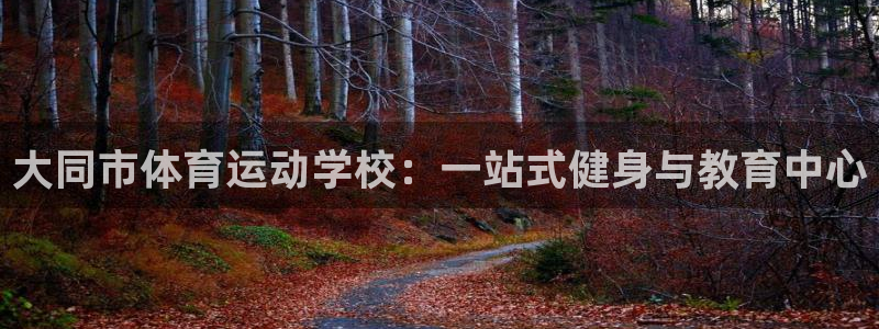 千亿国际官方正版app娱乐网站：大同市体育运动学校：一站式健