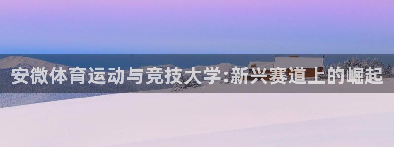 千亿国际官网下载平台注册要钱吗安全吗：安微体育运动与竞技大学