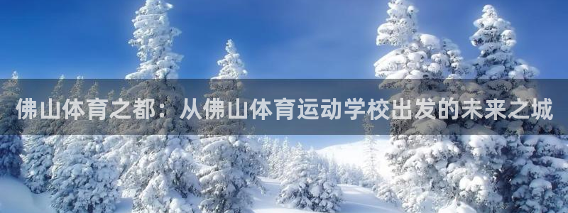 千亿国际官方正版app娱乐下载：佛山体育之都：从佛山体育运动