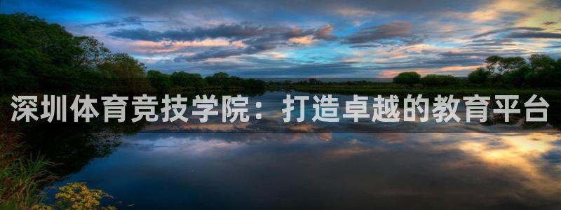 千亿国际官网下载是干嘛的公司：深圳体育竞技学院：打造卓越的教
