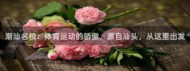 千亿国际官网下载平台