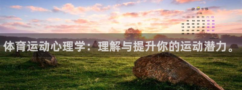千亿国际官方正版app官网：体育运动心理学：理解与提
