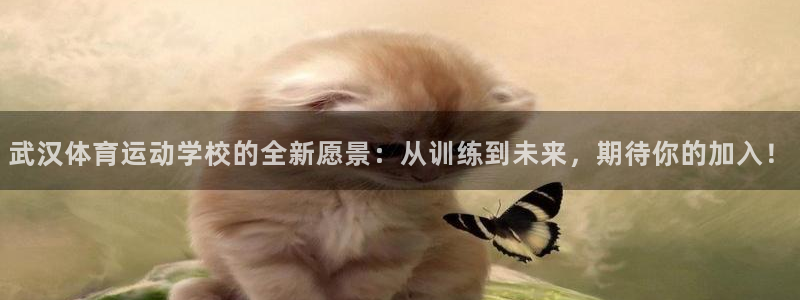千亿国际官网下载招商电话号码查询：武汉体育运动学校的