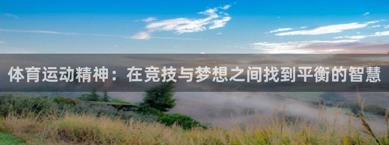 千亿国际官方正版app娱乐：体育运动精神：在竞技与梦