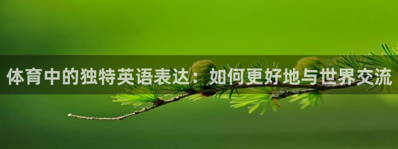 千亿国际官方正版app集团简介：体育中的独特英语表达