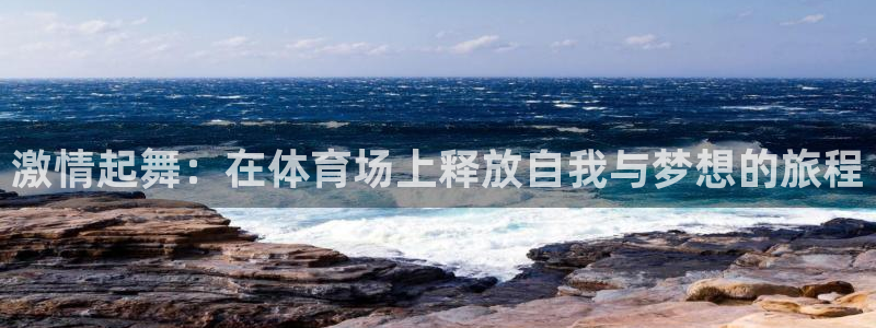 千亿国际官方正版app娱乐网站：激情起舞：在体育场上