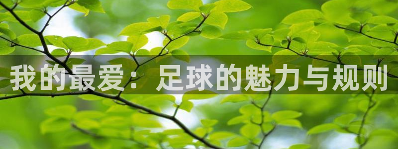 千亿国际官方正版app集团官网首页：我的最爱：足球的魅力与规
