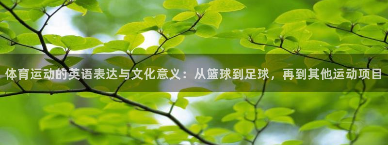 千亿国际官方正版app集团：体育运动的英语表达与文化意义：从