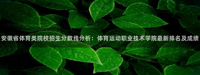 千亿官网网页版