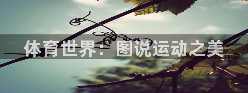 千亿有限公司：体育世界：图说运动之美