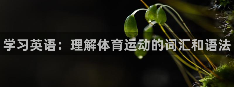 千亿国际旧版本：学习英语：理解体育运动的词汇和语法