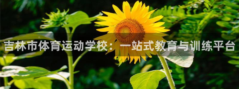  千亿集团董事长：吉林市体育运动学校：一站式教育与训练平台