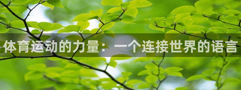 千亿官网最新版：体育运动的力量：一个连接世界的语言