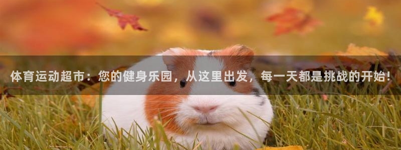  千亿国际唯一平台登录入口：体育运动超市：您的健身乐园，从这里