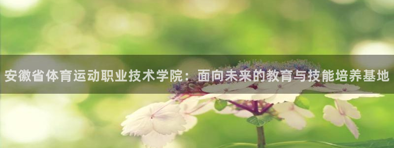 千亿国际娱乐网站有哪些：安徽省体育运