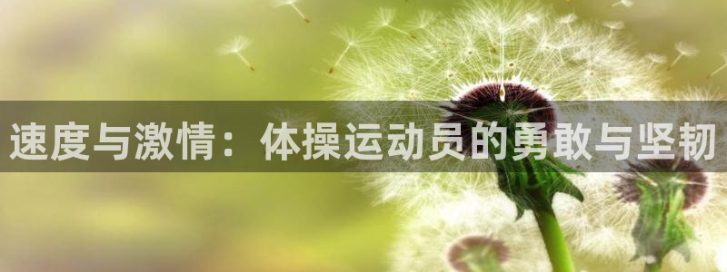 千亿国际网址是多少：速度与激情：体操