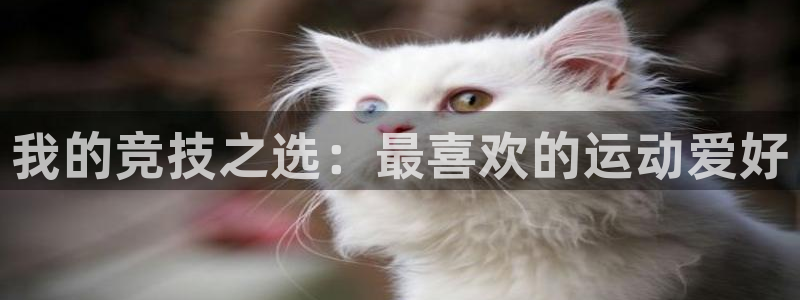 千亿游戏官方网站：我的竞技之选：最喜