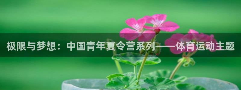  千亿官方：极限与梦想：中国青年夏令营系列——体育运动主题