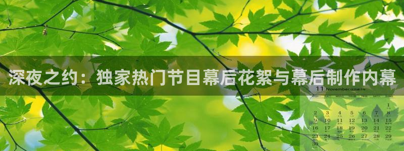 搜球吧直播 在线观看：深夜之约：独家热门节目幕后花絮与幕后制作内幕