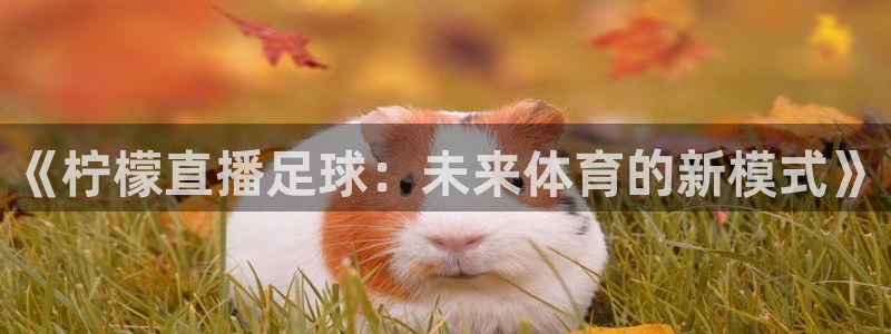 搜球直播吧：《柠檬直播足球：未来体育的新模式》