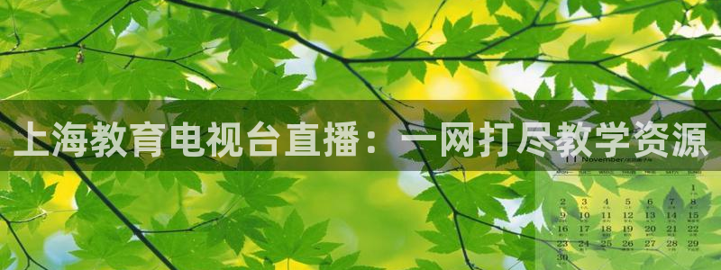 搜球吧手机直播nba直播：上海教育电视台直播：一网打尽教学资源