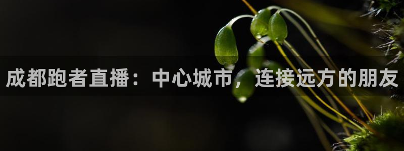 搜球吧直播网