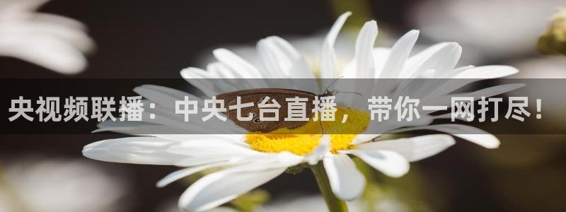 搜球吧手机直播nba直播：央视频联播：中央七台直播，带你一网打尽！