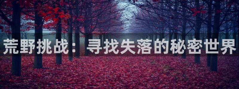 搜球吧直播 在线观看：荒野挑战：寻找失落的秘密世界